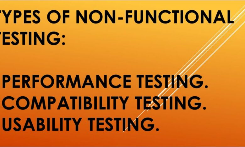 Software performance testing