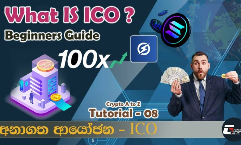 ICO investor guidelines