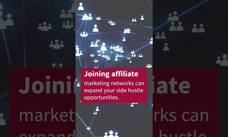 Affiliate marketing networks