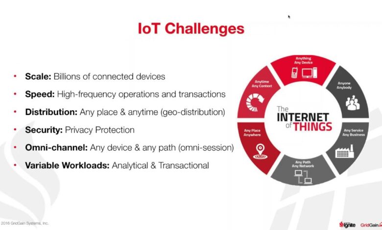 Internet of Things (IoT)