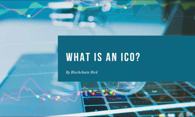 ICO investor guidelines