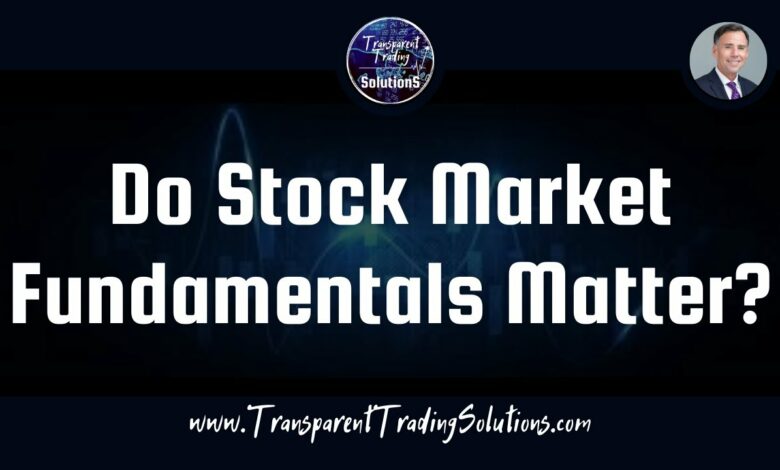 Stock market fundamentals