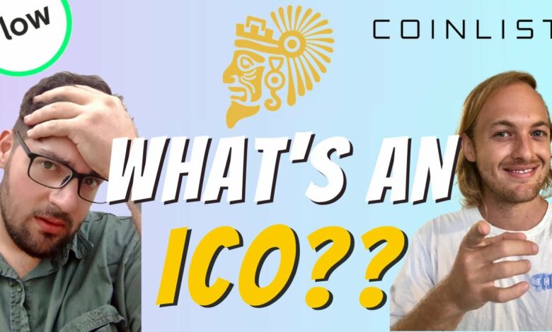 ICO investor guidelines