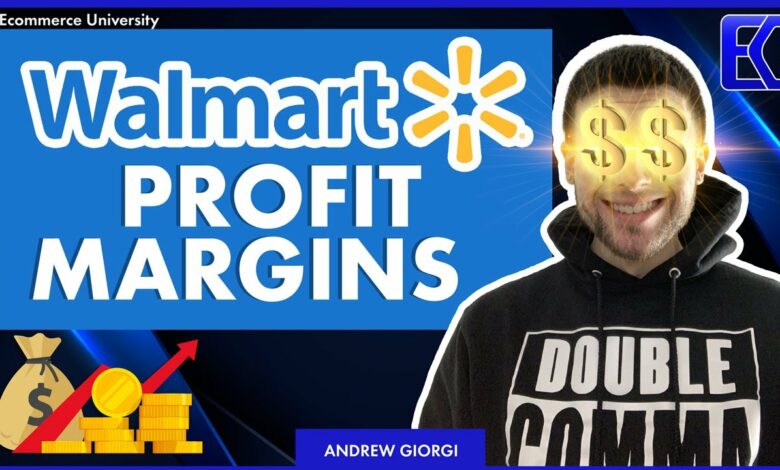 Dropshipping profit margins