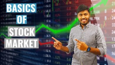 Stock market fundamentals